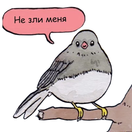 drawing animal illustration