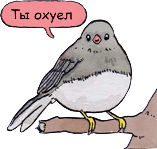 drawing animal illustration