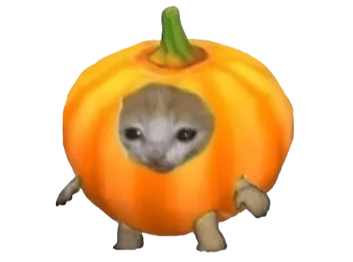 животное Хеллоуин тыква