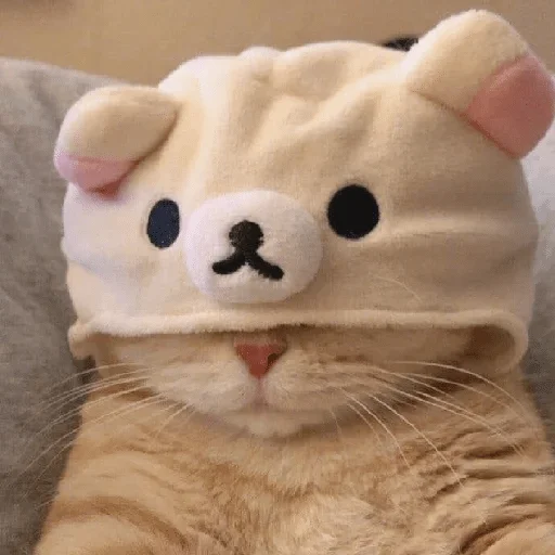 Стикер Kotec — @stckrRobot - 2