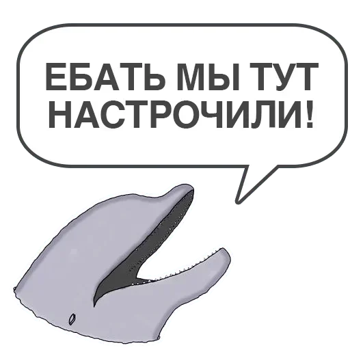 text marine mammal graphics