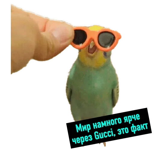 Sticker POPUG — @stckrRobot - 11