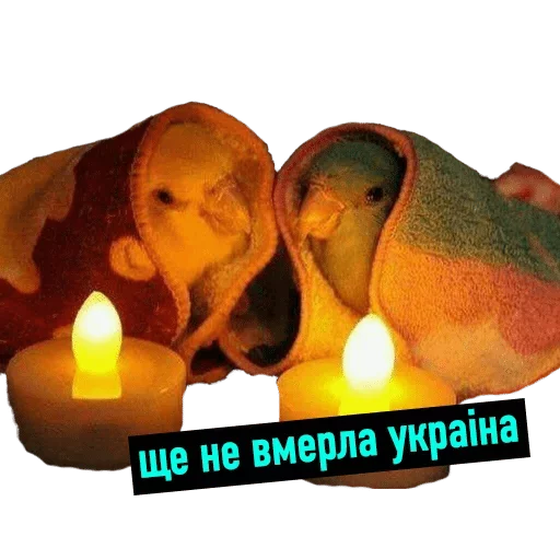 Sticker POPUG — @stckrRobot - 10