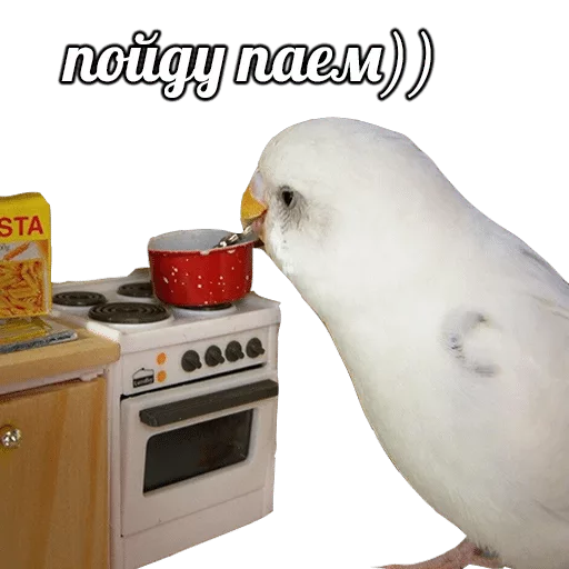 Sticker POPUG — @stckrRobot - 9