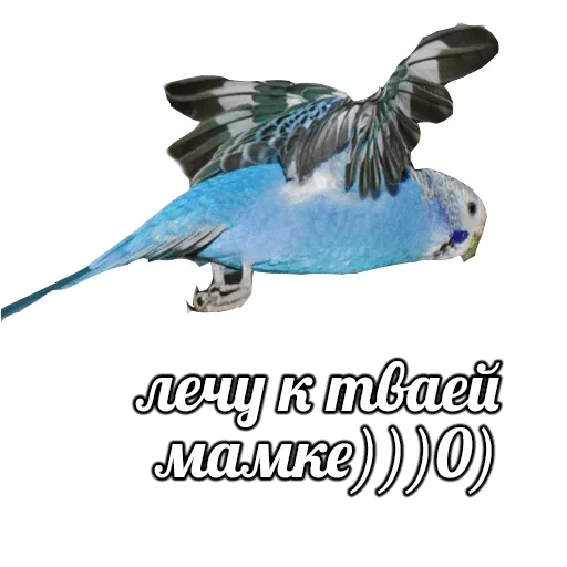 Sticker POPUG — @stckrRobot - 8