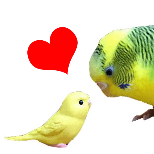 Sticker POPUG — @stckrRobot - 6