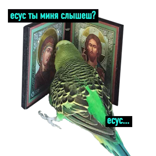 Sticker POPUG — @stckrRobot - 5