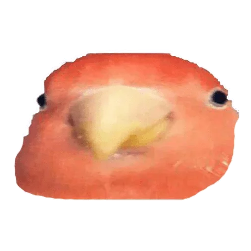 Sticker POPUG — @stckrRobot - 2