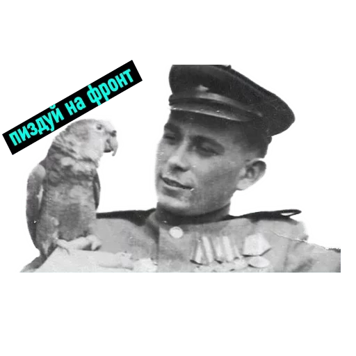 Sticker POPUG — @stckrRobot - 1