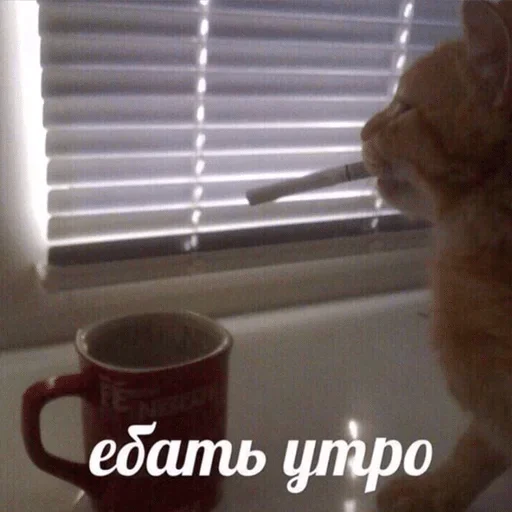 Sticker shitposting licence — @stckrRobot - 9