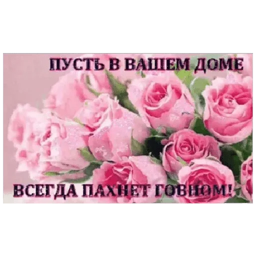 Sticker shitposting licence — @stckrRobot - 6