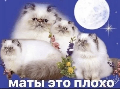 животное луна млекопитающее