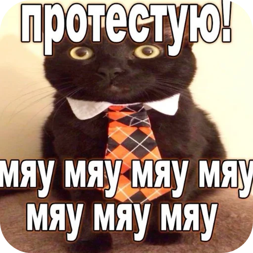 Sticker spidoznaya9 - 1