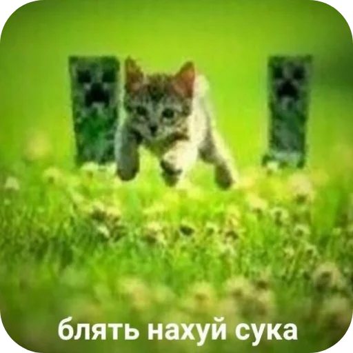 Sticker spidoznaya9 - 1