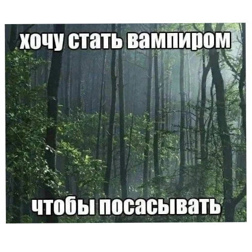 Sticker spidoznaya9 - 1