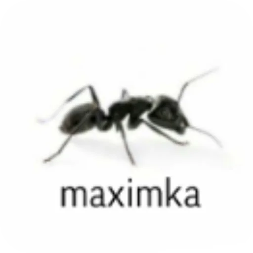 Sticker spidoznaya9 - 1