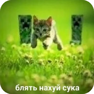 Стикер спидозная - 10