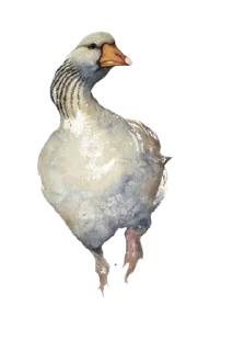 Стикер spiritually staple - 0