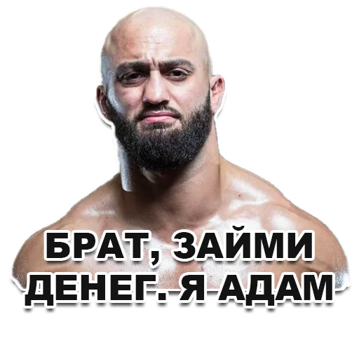 Sticker SPLIT MMA - 3