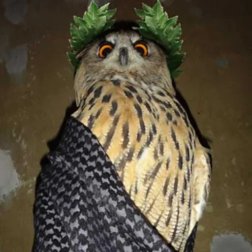 Sticker splushki - 1