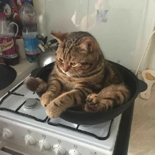 Sticker spokysa - 10