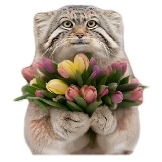 Sticker Spring manul @anime4_arts - 8