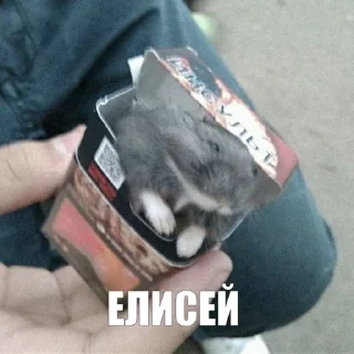 Sticker sps by @kulibyaka - 1