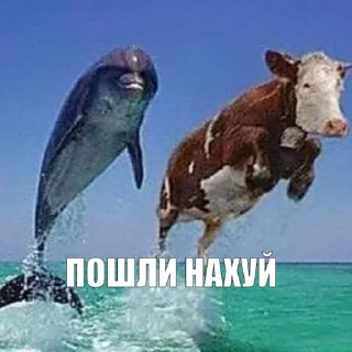 Sticker sps by @kulibyaka - 4