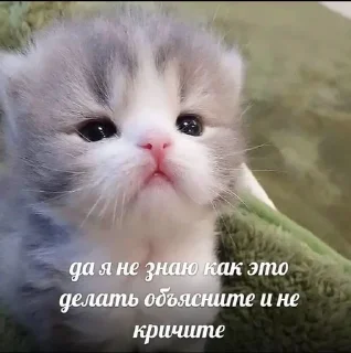 Sticker Братва - 1