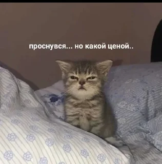 Sticker Братва - 7