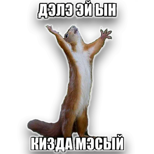 СМС млекопитающее плакат