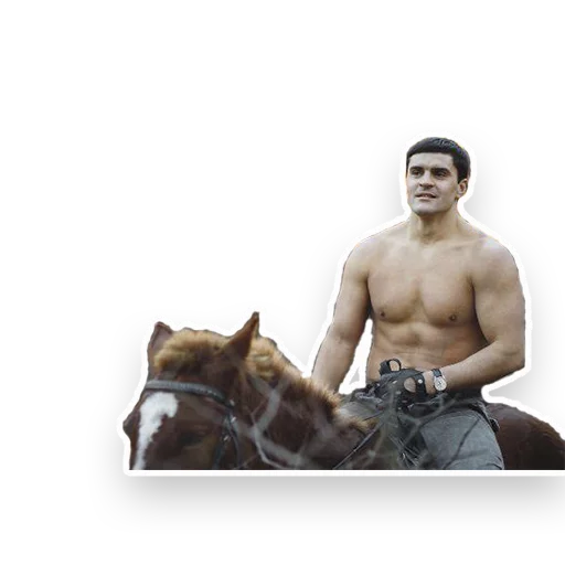 лошадь Человек мужчина