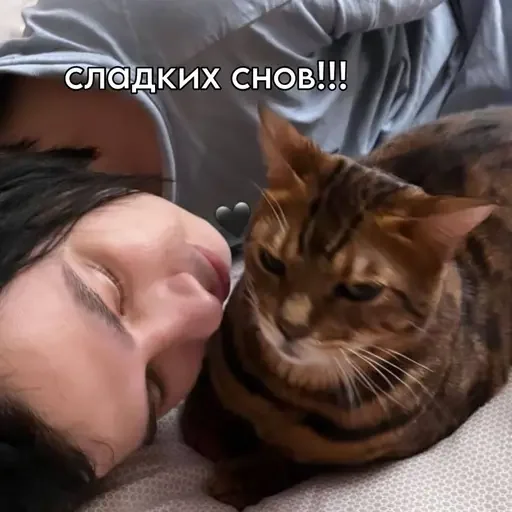 Sticker sqworeve - 1