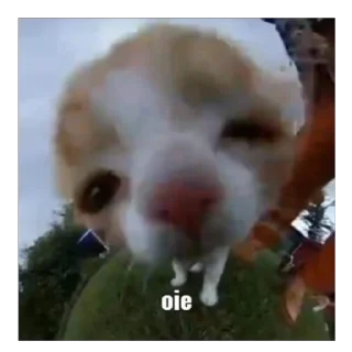 Sticker срака - 1