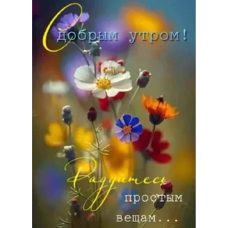 Sticker срака - 8