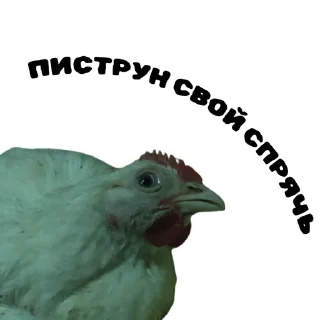 Стикер Жевахова Гора || Стикеры - 6