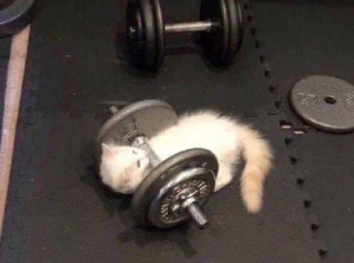 sport weights ground