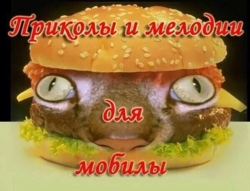 food sandwich fast food