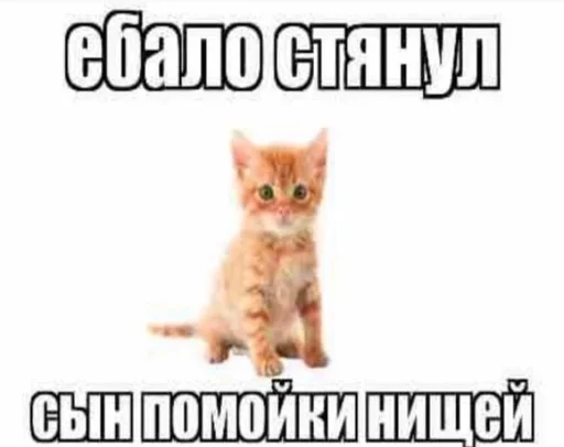 срать :: @fStikBot - text