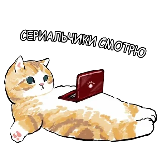 Sticker Милый котик @FemojiBot - 9