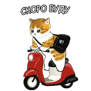 Sticker Милый котик @FemojiBot - 4