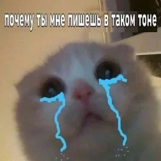 Стикер 6rop3 — @vid_rop - 7