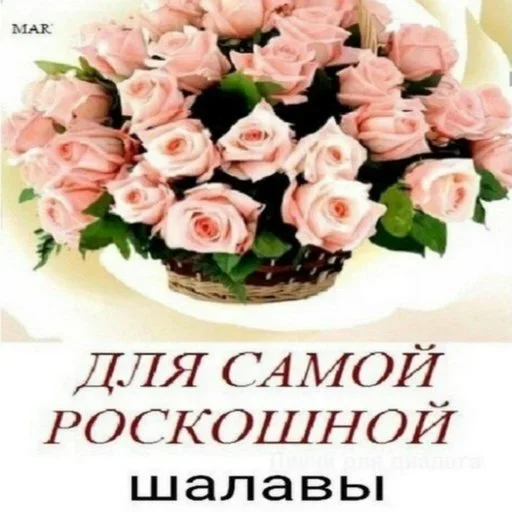 Sticker sheeesh - 10