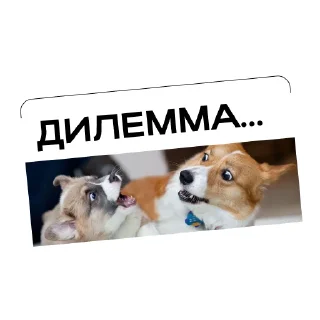 Sticker Простыми словами - 8