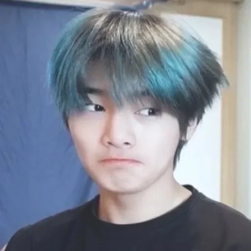 person hairpiece clothing