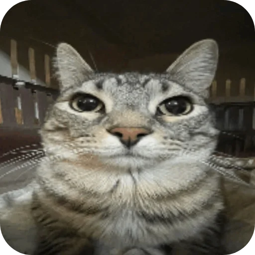 Стикер sslleik - 1