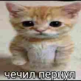 Sticker 👇 ЖМИ СЮДА 👉 @axa_xa_xax_bot - 10