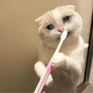 Sticker @karinnok - 0