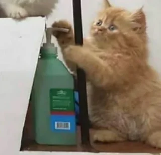 Sticker @karinnok - 2