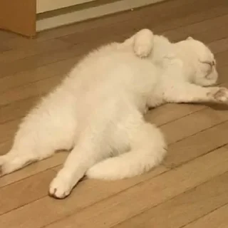 Sticker @karinnok - 4